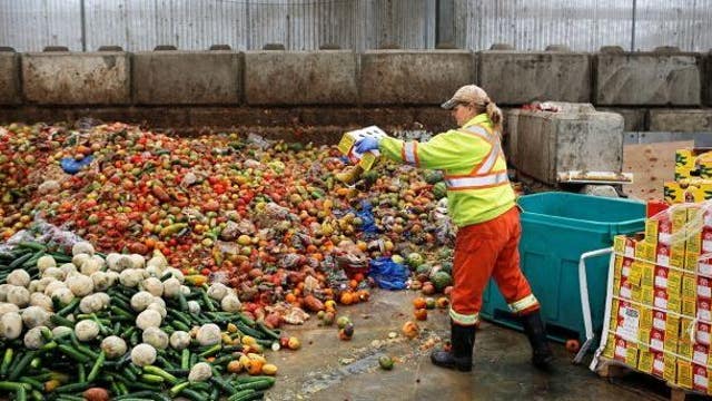Food waste costs families thousands of dollars a year