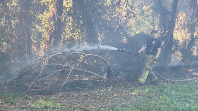 Firefighters: Arsonist sets a dozen fires in DeKalb County