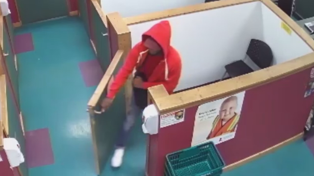 Police: Man caught on camera stealing a $7,000 dog from store