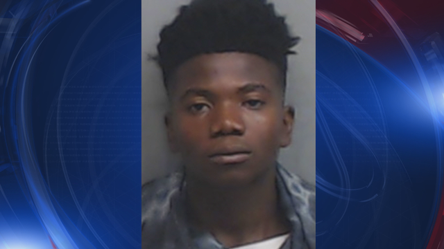 Police: Arrest made in 2 Candler Park crimes