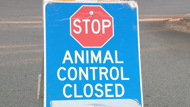 Outbreak at Cobb County Animal Shelter forces temporary closure