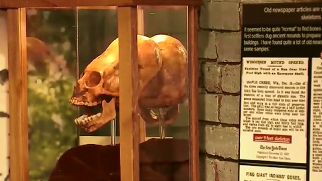 Roadside Bigfoot: Georgia museum devoted to legendary beast