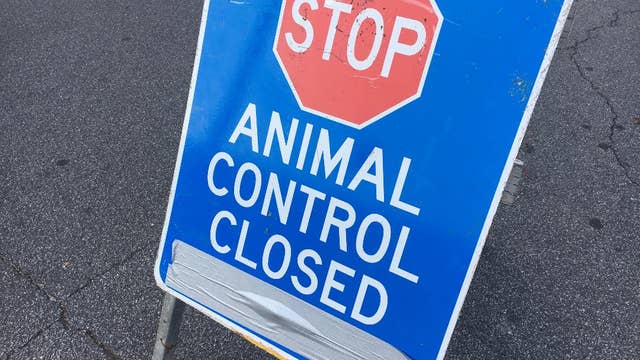 Cobb County Animal Shelter temporarily shutdown after 5 dogs die