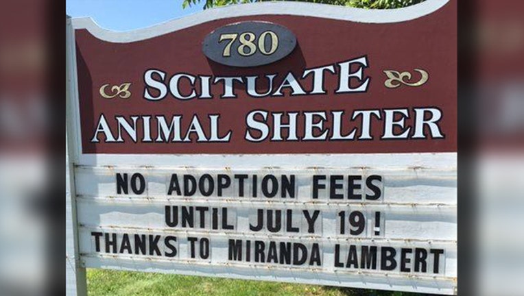 e306185f-miranda lambert animal shelter donation_1562790068591.jpg-401385.jpg