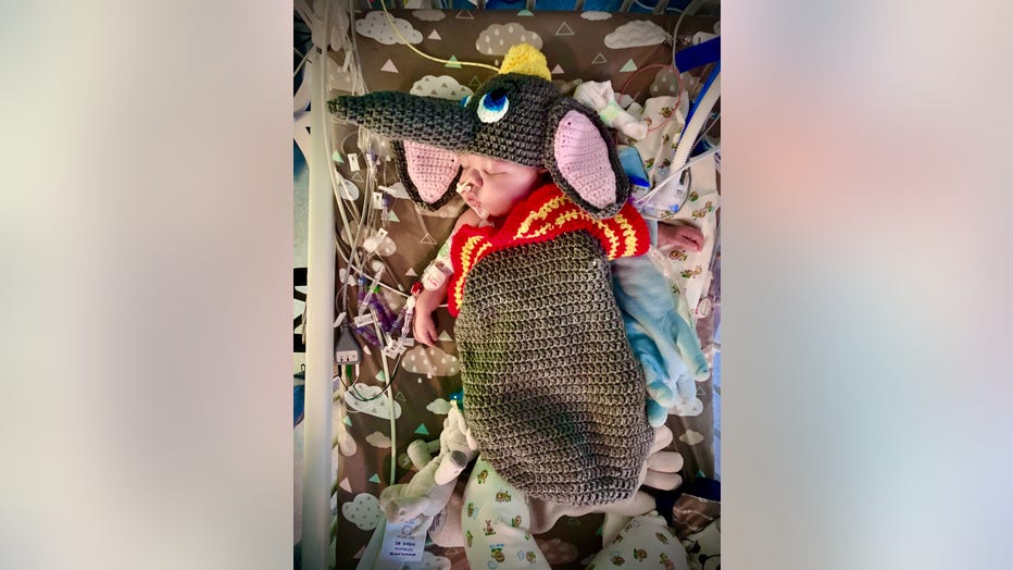 Children's Healthcare of Atlanta NICU patient dressed in crocheted Dumbo costume