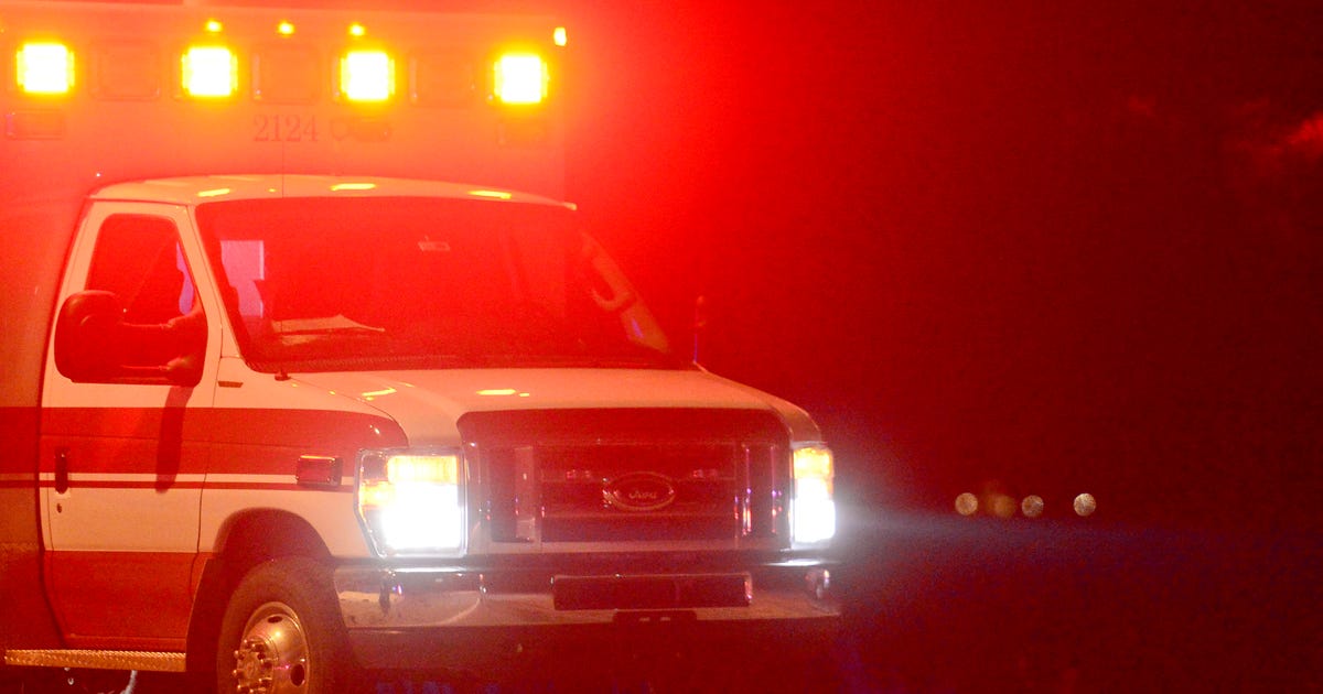 Canton man dies after tree falls on vehicle in Cherokee County | FOX 5 ...