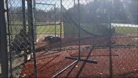 Deer gets caught in batting cage net