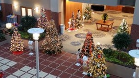 Charities 'stump' for votes at Festival of Trees