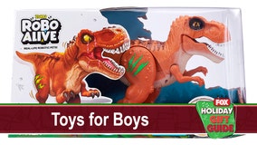 Have a blast with these 10 toys ideas for boys