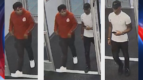 McDonough police release photos of purse snatching suspects