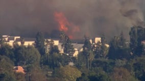 Firefighters stop forward progress of 'Barham Fire' burning in Hollywood Hills