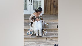 Bride includes puppies in her wedding to help them get adopted