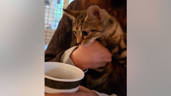 Furkids celebrates opening of new headquarters