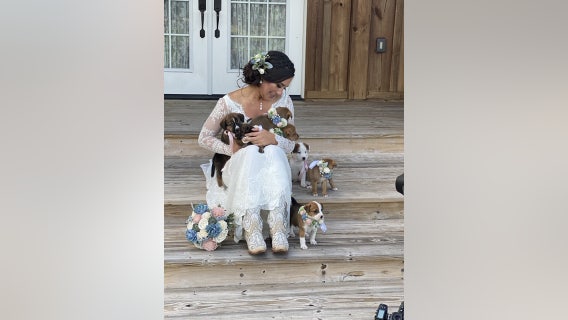 Bride includes puppies in her wedding to help them get adopted