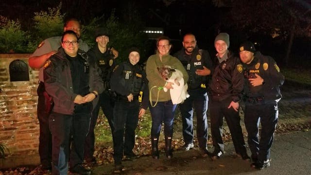 KSU police chase 'taco' Halloween night