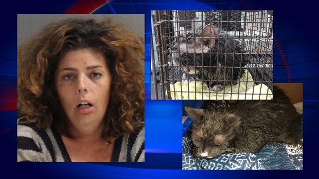'Taking it to Jesus’: Police say Florida woman nearly drowns cat