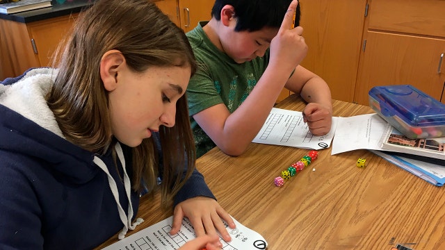 Neural images show no difference in math skills between genders, researchers say