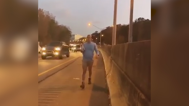 Dog rescued from I-75 in Atlanta