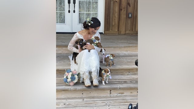 Bride includes puppies in her wedding to help them get adopted
