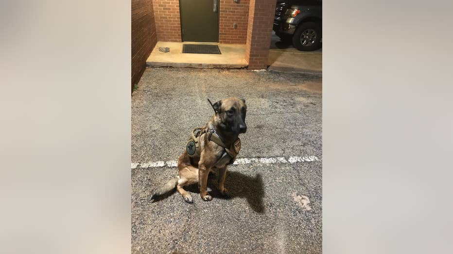 Walton County K-9 Deputy ZOSO, who helped catch a murder suspect.