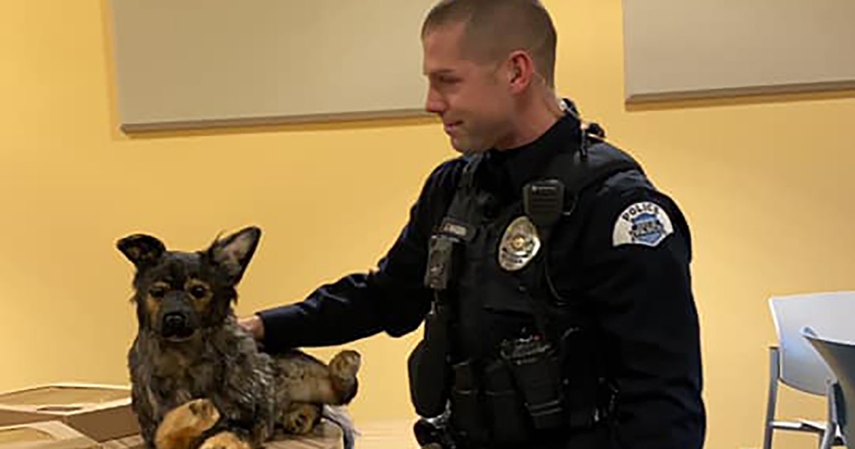 Officer moved to tears with gift in memory of his K-9 partner | FOX 5 ...