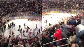 Fans pelt ice hockey rink with thousands of teddy bears for record 'bear toss'