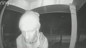 Athens porch pirate caught on camera