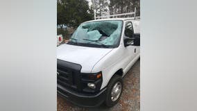 Deputies: Deer survives smashing through van windshield