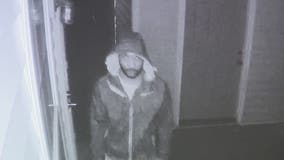 Rex family concerned after creeper recorded in their backyard