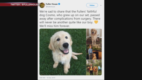 'Fuller House' dog passes away