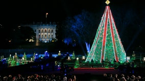 National Christmas Tree Lighting tonight at the Ellipse