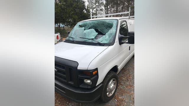 Deputies: Deer survives smashing through van windshield