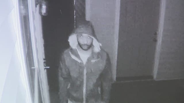 Rex family concerned after creeper recorded in their backyard