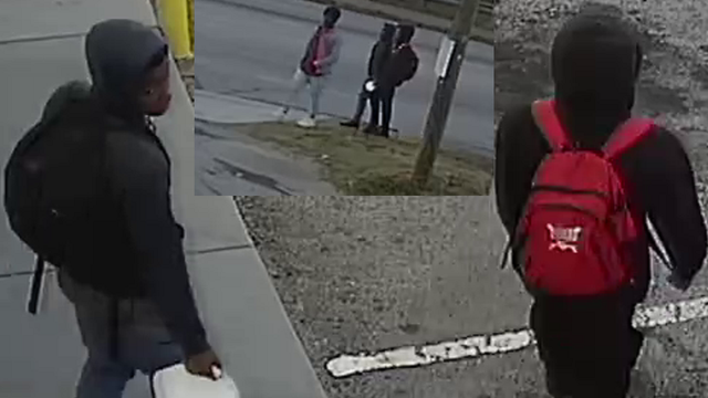 Police: 74-year-old woman injured in violent carjacking, search for 3 suspects, woman's dog