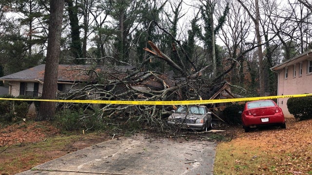 Large tree falls on Decatur home, causes major damage