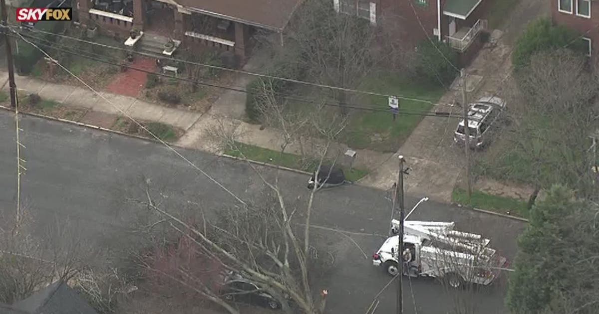 Tree falls, crushes truck in northeast Atlanta | FOX 5 Atlanta