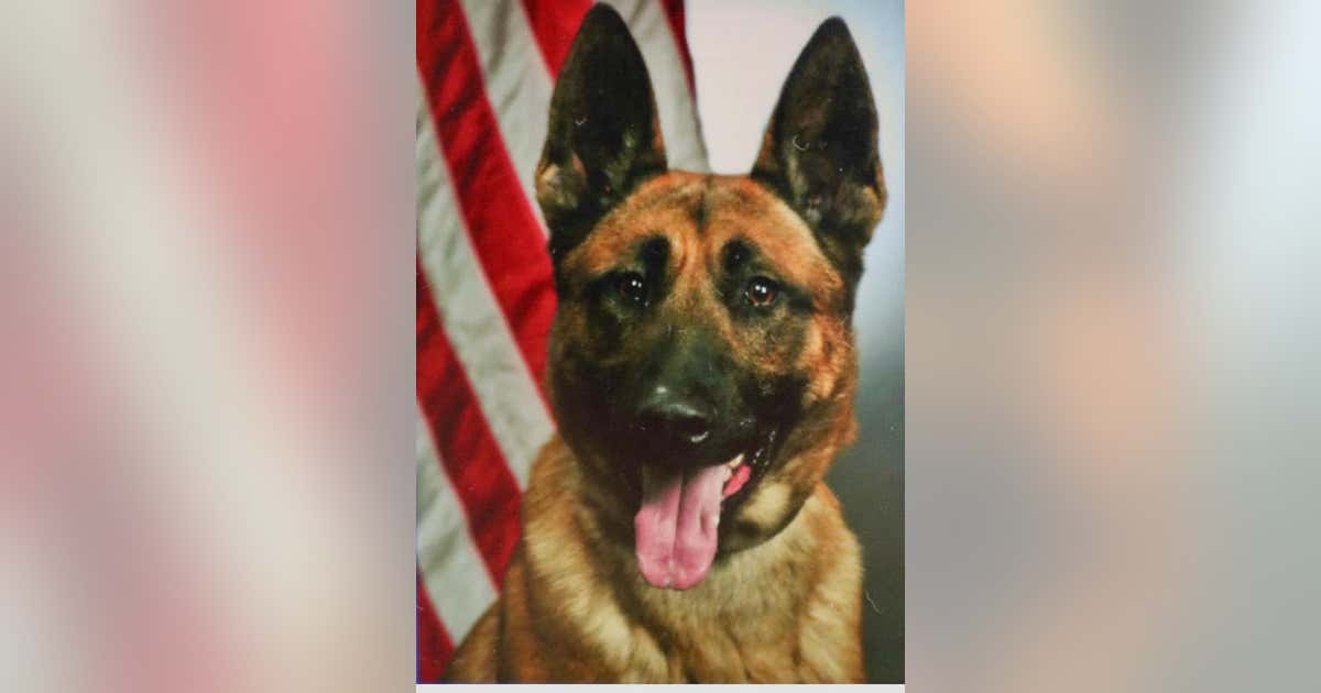 Marietta police mourn loss of retired K9 | FOX 5 Atlanta