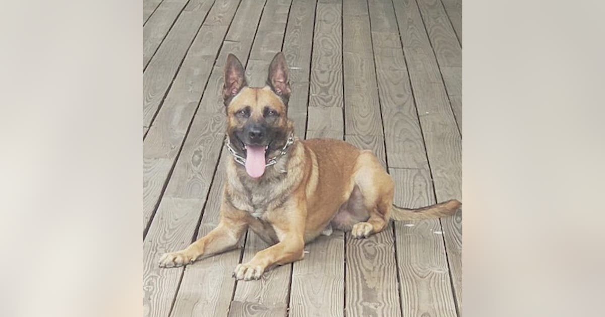 Henry County police hold funeral for K-9 Officer Thorr | FOX 5 Atlanta
