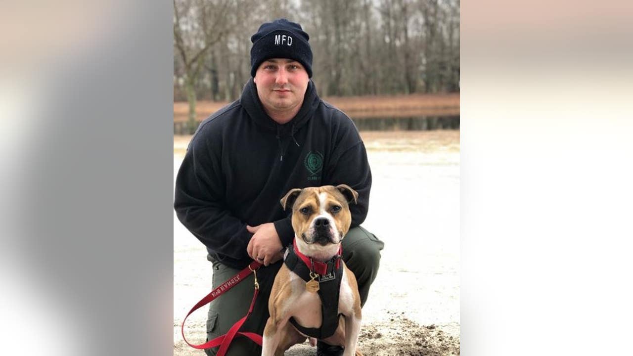 Pit bull rescued from dogfighting ring becomes K9 officer