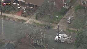 Tree falls, crushes truck in northeast Atlanta