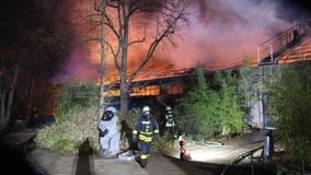 'Unfathomable tragedy': Fire kills more than 30 animals at German zoo in first minutes of 2020