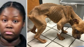 Woman arrested after emaciated dog found locked in kennel, placed in dumpster