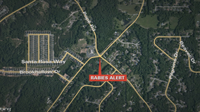 Rabid raccoon attacks Douglas County dog