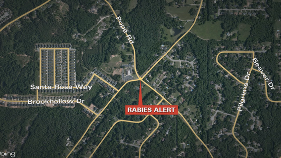 Rabid raccoon attacks Douglas County dog