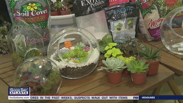 Spring planting with Pike Nurseries