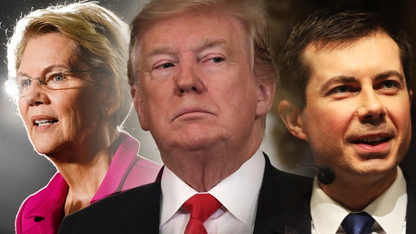 These are the 9 candidates running for president in 2020