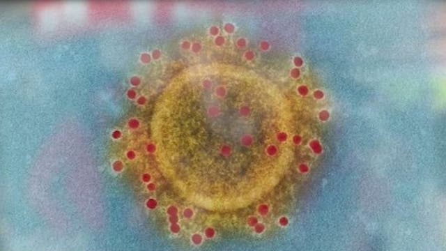 Coronavirus outbreak impacting Atlanta organizations