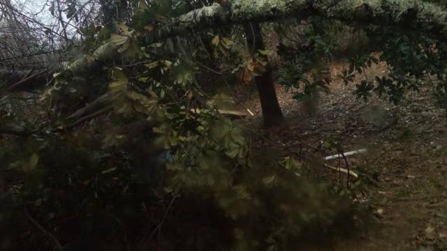 Rome pummeled by 'circular' winds and heavy rains