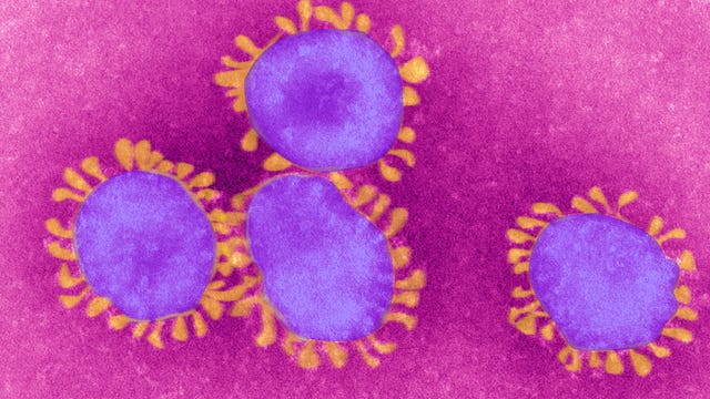 Health officials: No confirmed cases of coronavirus in Georgia