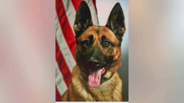 Marietta police mourn loss of retired K9
